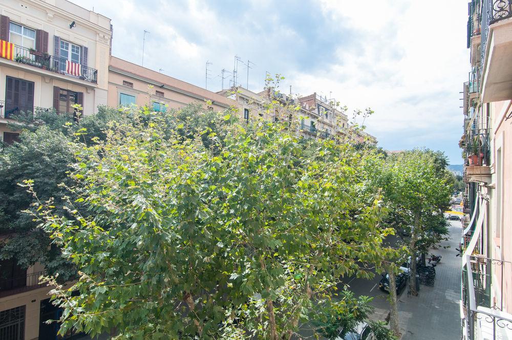 Trivao Sant Antoni Market * Barcelona